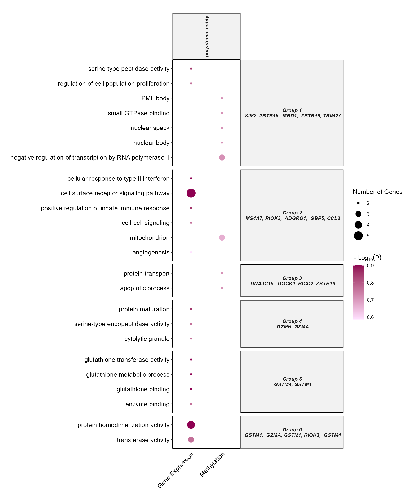 Dotplot of top enriched GO terms by omics layer and exposure category.